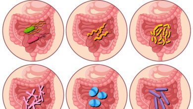 wellhealthorganic.com : key signs of gastroenteritis