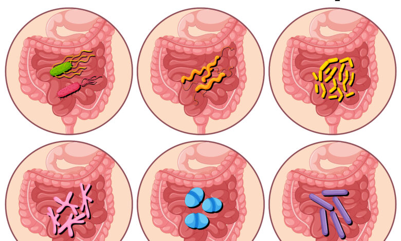 wellhealthorganic.com : key signs of gastroenteritis