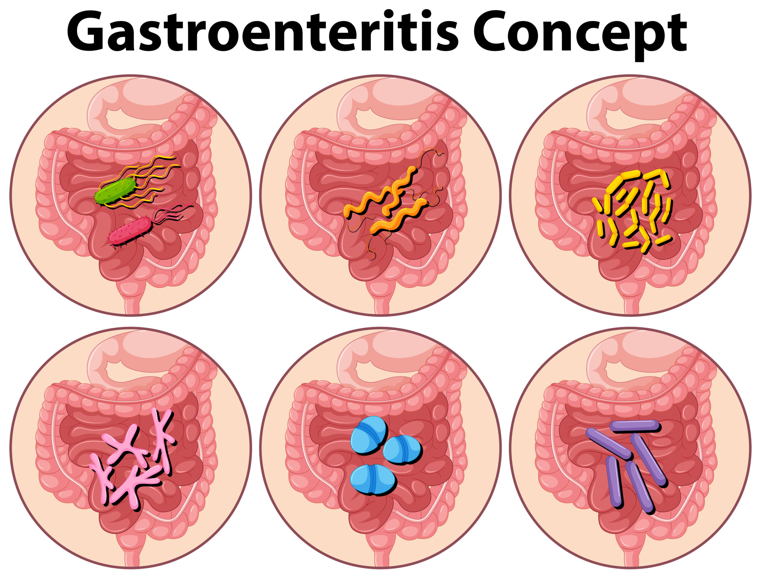 wellhealthorganic.com : key signs of gastroenteritis