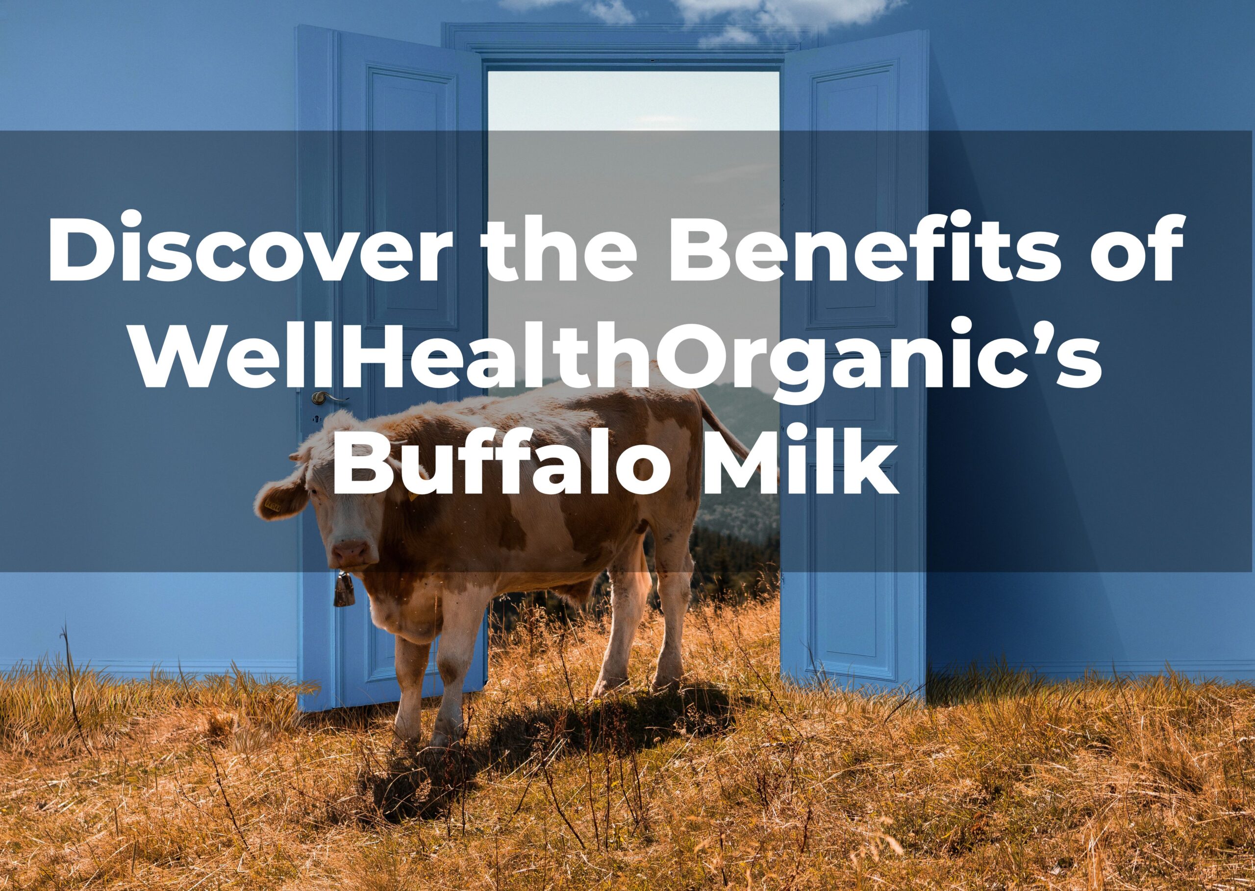 wellhealthorganic buffalo milk tag