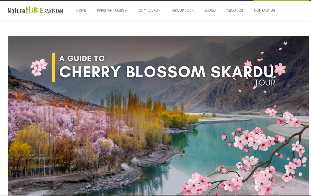 Spring Season (March to May) - The Cherry Blossom Wonderland